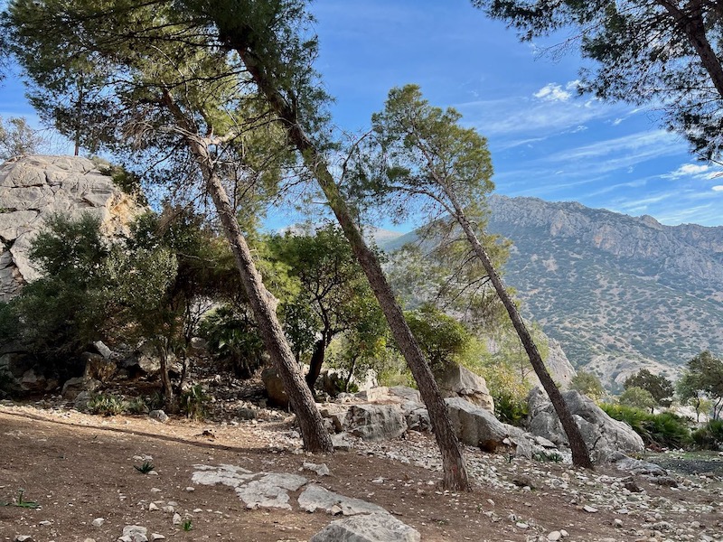 Caminito del Rey